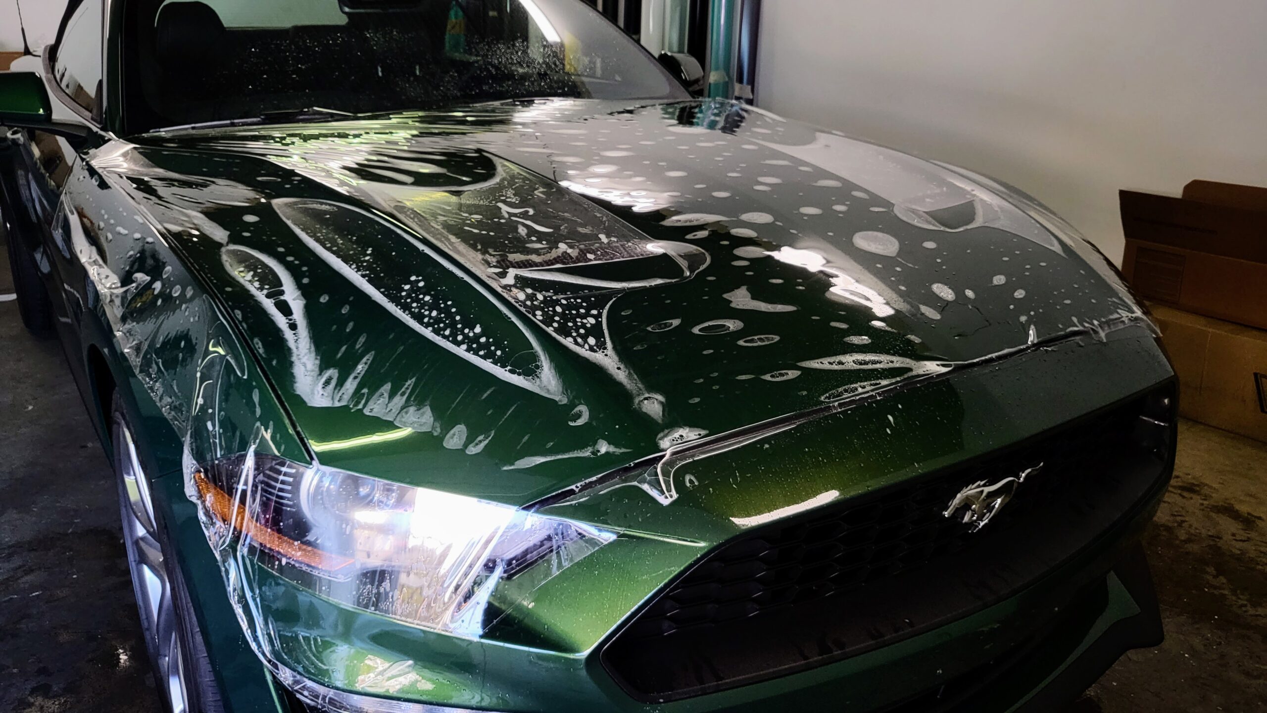 PPF (PAINT PROTECTION FILM)